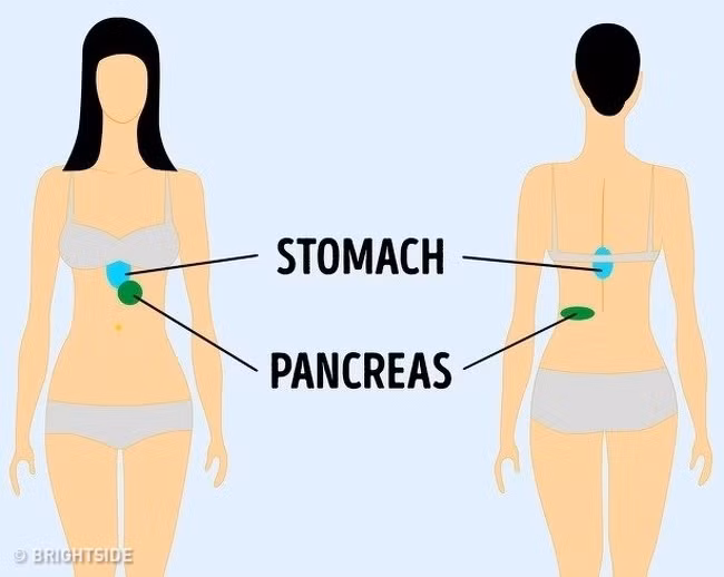 Đau dạ dày và tá tràng tương đối dễ xác định nhưng khoảng 50% số người bị viêm tụy cấp cũng có biểu hiện đau lưng. Nếu cơn đau dai dẳng bạn nên đi khám bác sĩ.