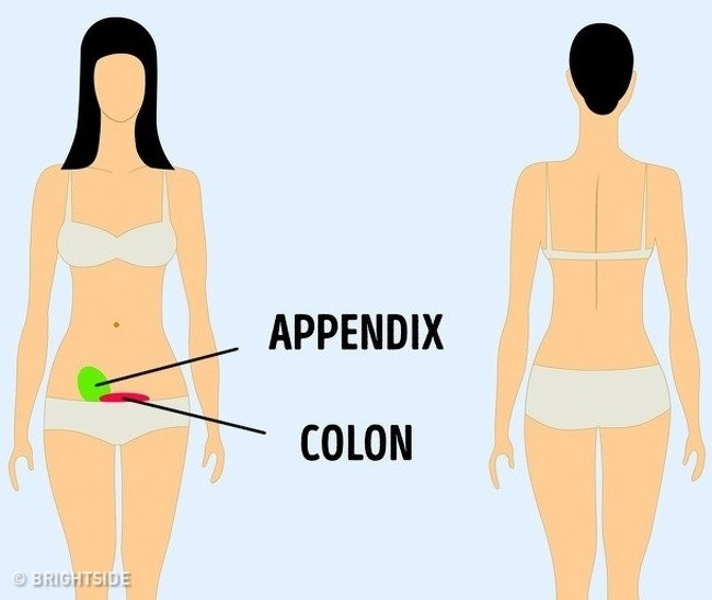 Viêm ruột thừa và các rắc rối với ruột già thường dễ dàng xác định được vì cơn đau nằm ở phía bên phải của bụng trung và dưới. Viêm ruột thừa là một vấn đề nguy hiểm đến tính mạng và bạn tuyệt đối không được xem thường cơn đau này.
