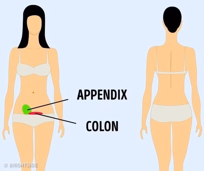 Viêm ruột thừa và các rắc rối với ruột già thường dễ dàng xác định được vì cơn đau nằm ở phía bên phải của bụng trung và dưới. Viêm ruột thừa là một vấn đề nguy hiểm đến tính mạng và bạn tuyệt đối không được xem thường cơn đau này.