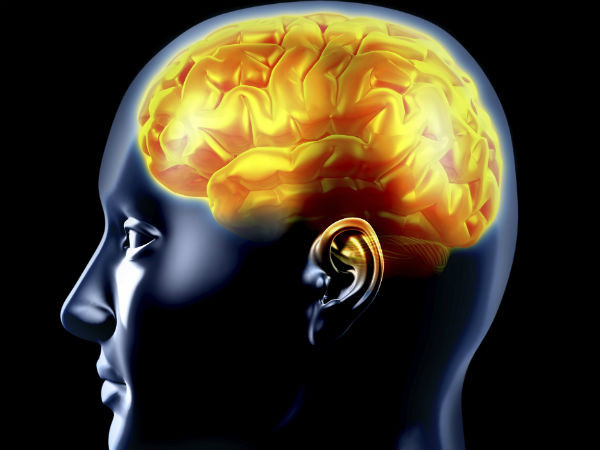 Nghiên cứu cho thấy rằng dâu tằm cung cấp canxi cho não, giúp não khỏe, ngăn ngừa bệnh Alzheimer.