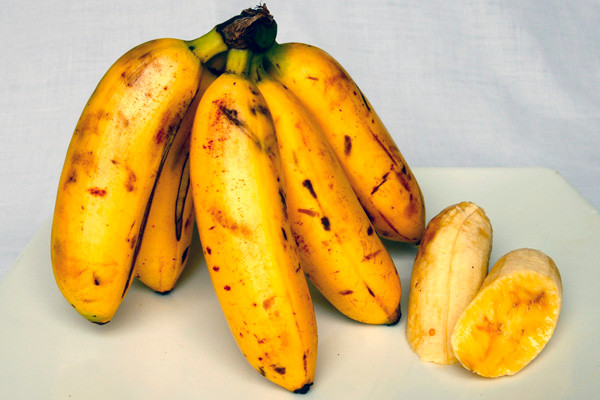 Các loại trái cây như chuối và các thành phần khác như cần tây, cà rốt, thì là và hành là các loại thực phẩm kích thích “chuyện ấy” tự nhiên.