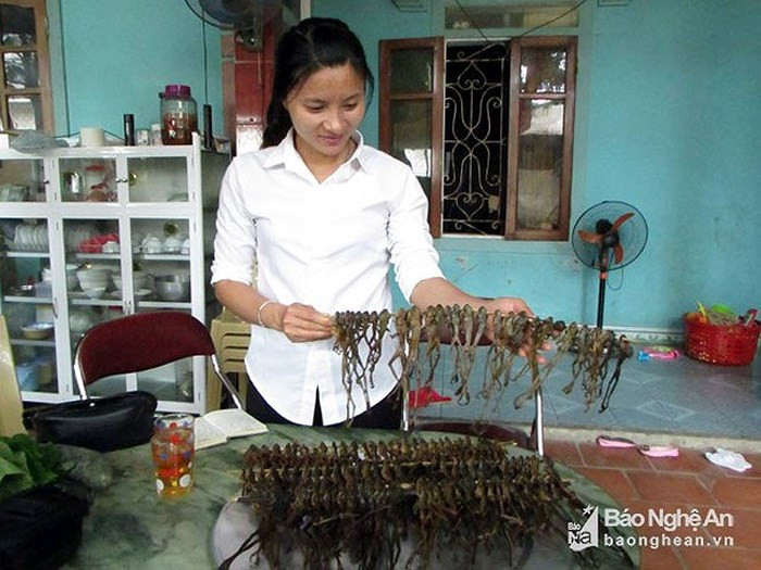 Chẫu chàng có thể chế biến thành nhiều món ăn hấp dẫn. (Ảnh: Báo Nghệ An)