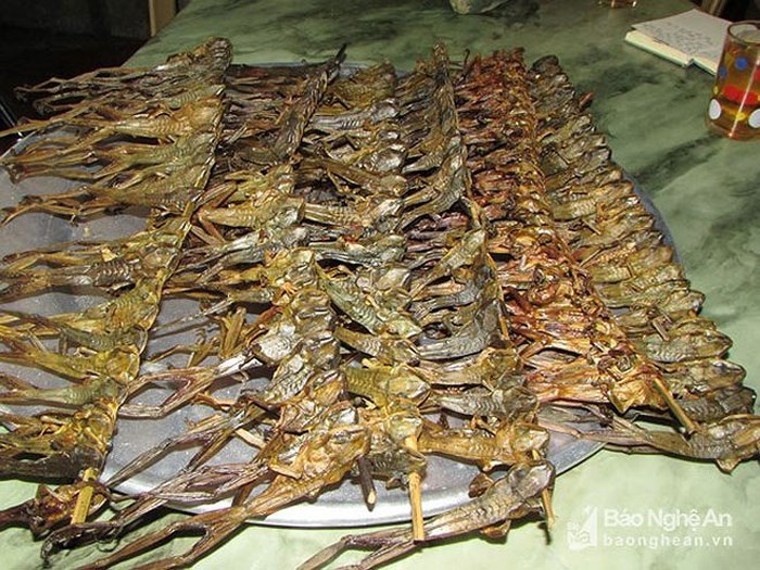 Chẫu chàng sau khi làm sạch được xâu thành từng gắp rồi hong trên bếp than. (Ảnh: Báo Nghệ An)