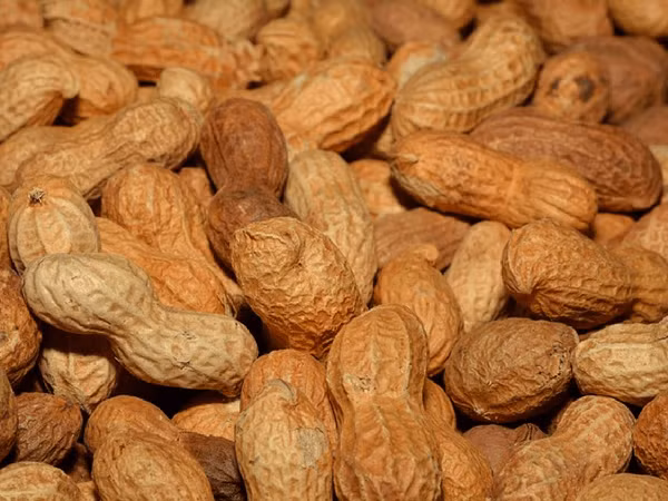 Đậu phộng giàu axit béo omega-3 và magiê, cả hai đều có thể làm giảm nguy cơ ung thư ruột già.