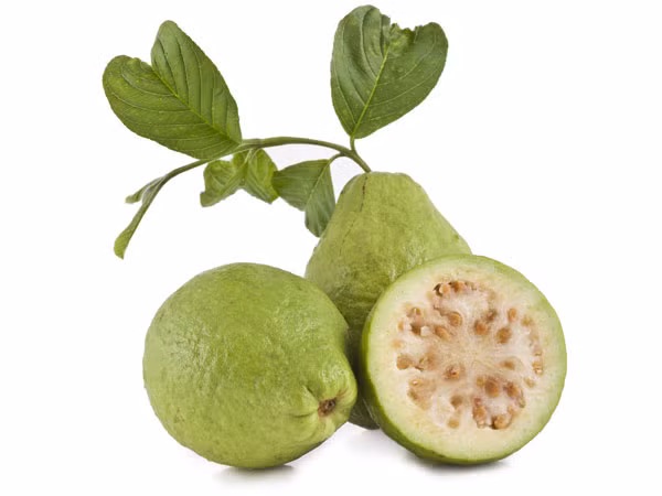 Ổi rất giàu vitamin C, giúp tế bào ruột chống lại các tế bào ung thư, giúp ngăn ngừa ung thư đại tràng.