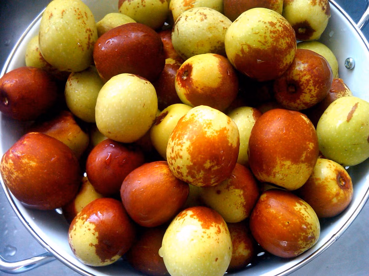 Từ lâu, táo tàu được dùng để trị căng thẳng, lo lắng và trầm cảm.