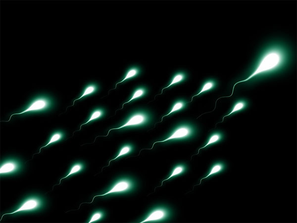 Một trong những cách đơn giản có thể giúp tăng lượng “con giống” tự nhiên cho nam giới là giảm căng thẳng, ngủ ngon và tập thể dục. Bạn có thể giảm căng thẳng bằng cách tập thể dục và thực hiện chế độ ăn uống lành mạnh. Nhờ vậy, chất lượng “tinh binh” sẽ được cải thiện.