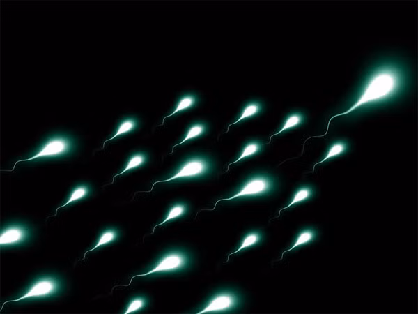 Một trong những cách đơn giản có thể giúp tăng lượng “con giống” tự nhiên cho nam giới là giảm căng thẳng, ngủ ngon và tập thể dục. Bạn có thể giảm căng thẳng bằng cách tập thể dục và thực hiện chế độ ăn uống lành mạnh. Nhờ vậy, chất lượng “tinh binh” sẽ được cải thiện.