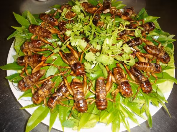 Dế cơm chiên mắm là món đặc sản dân dã có từ rất lâu ở Long Khánh. Dế cơm chỉ cần lặt sạch cánh, lặt hai chân sau (để đùi lại, hai đùi dế rất béo), móc ruột bỏ hết, xong nhét hột đậu phộng vào ruột, rồi ướp nước mắm, nêm cho vừa ăn. Sau đó, chiên dế vàng đều trong chảo dầu sôi.