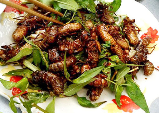 Chiên ngập từng con dế trong dầu nóng cho đến khi chúng chuyển hẳn sang màu vàng đậm. Chỉ cần vớt ra và lót kèm cùng rau sống, cà chua là đã hoàn tất một món ăn đặc sắc, hấp dẫn.