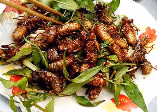 Chiên ngập từng con dế trong dầu nóng cho đến khi chúng chuyển hẳn sang màu vàng đậm. Chỉ cần vớt ra và lót kèm cùng rau sống, cà chua là đã hoàn tất một món ăn đặc sắc, hấp dẫn.