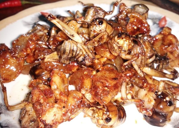 Tuy nhìn có thể bạn sẽ e ngại nhưng chắc chắn mùi thơm lan tỏa ngào ngạt của dế chiên nước mắm có thể khiến bạn nôn nao muốn thưởng thức. Nhưng một khi đã ăn thì món dế chiên mắm lại khiến người ta cứ lưu luyến mãi. Ảnh: Internet.