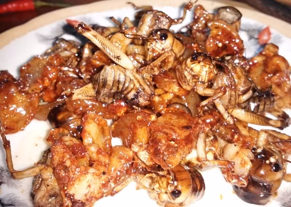 Tuy nhìn có thể bạn sẽ e ngại nhưng chắc chắn mùi thơm lan tỏa ngào ngạt của dế chiên nước mắm có thể khiến bạn nôn nao muốn thưởng thức. Nhưng một khi đã ăn thì món dế chiên mắm lại khiến người ta cứ lưu luyến mãi. Ảnh: Internet.