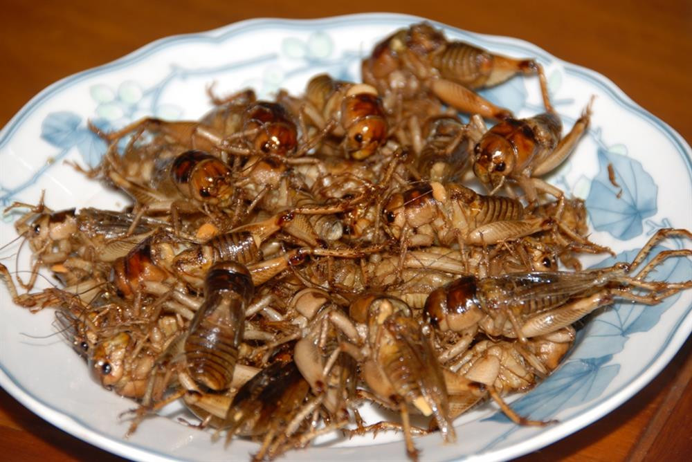 Không phải đơn giản để làm nên một đĩa dế chiên nước mắm thơm ngon. Người ta sẽ trộn hỗn hợp thịt ba chỉ trộn với gia vị, tiêu, tỏi, nước mắm... rồi bọc quanh hạt đậu phộng rang và nhét vào bụng từng con dế. Công đoạn này phải thật cẩn thận để không làm hỏng thân dế. Sau đó, nhúng chúng vào lòng trắng trứng đánh đều với nước mắm và bột mì khô.