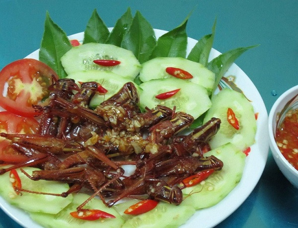 Dế cơm chiên nước mắm ăn vừa giòn, vừa đậm đà hương vị nước mắm, vừa béo ngậy của dầu, béo thơm của đậu phộng mang đặc trưng món ăn miền Đông Nam bộ.