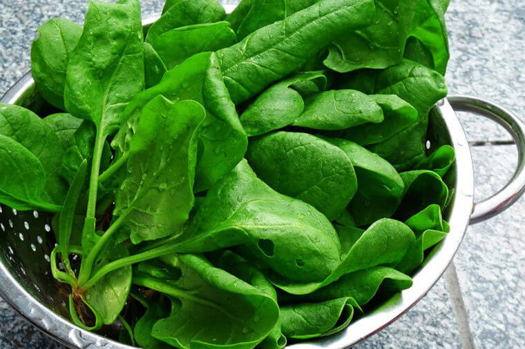 Rau lá xanh đậm bao gồm rau cải bó xôi, cải xoăn, rau mù tạt...chứa chất giúp tăng cường collagen như vitamin A và C và kẽm.