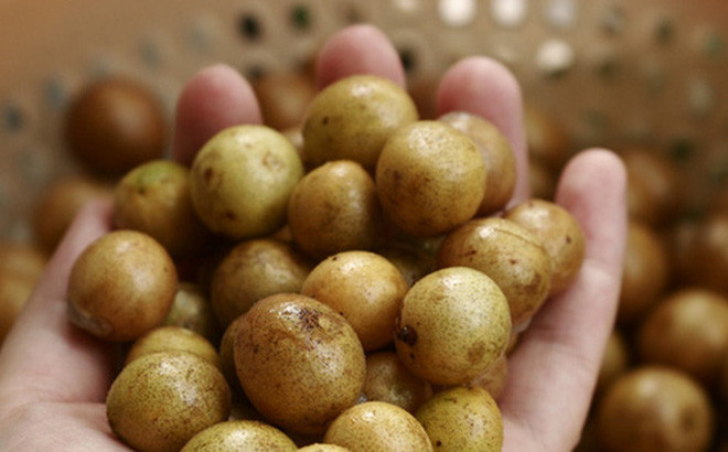 Sắc đặc cô lại và cho thêm đường uống 1 – 5 thìa tùy theo lứa tuổi và tình trạng bệnh nặng hay nhẹ trong vài ngày sẽ hết triệu chứng ho, long đờm.