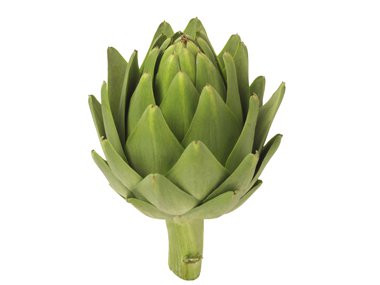 Hoa Atiso có một loại chất xơ gọi là fructan, có thể gây ra chướng bụng. Nếu bạn cảm thấy khó chịu sau khi ăn, tốt hơn hết nên tránh xa chúng.