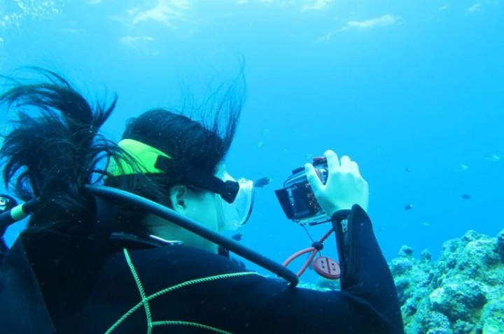 Rất may chỉ sau chưa đầy 2 ngày đăng tải trên Facebook, chủ sở hữu đã lên tiếng xác nhận. Thông qua bức hình, một người bạn của chủ nhân chiếc máy ảnh đã nhận ra. Hóa ra đó là Serina Tsubakihara, một sinh viên năm 3 tại ĐH. Sophia, Tokyo.