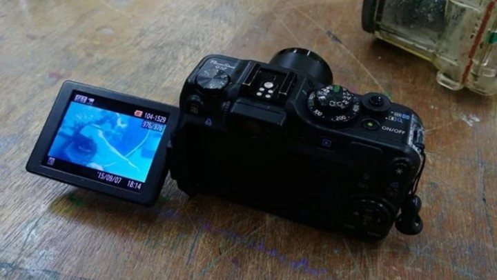 Đăng tải bài viết trên trang cá nhân, Lee viết: "Liệu có thể tìm thấy chủ nhân của chiếc máy ảnh trôi nổi trên biển không nhỉ? Có vẻ hơi kỳ khi xem trộm ảnh của người khác. Tuy nhiên nếu chúng ta có thể dựa vào những bức ảnh để tìm ra manh mối về chủ sở hữu thì vẫn tốt hơn phải không?…".