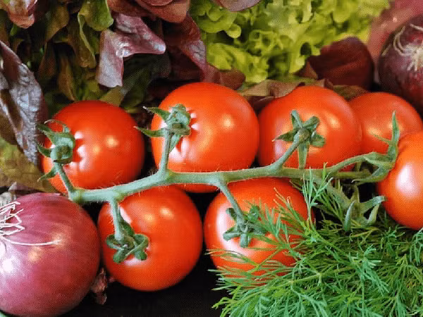 Ăn cà chua sống sẽ ngăn ngừa các tình trạng sức khoẻ, bao gồm loãng xương, ung thư, tiểu đường, sỏi thận, đau tim và béo phì.