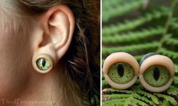 ...hay hình cạp mắt xanh ngắt.