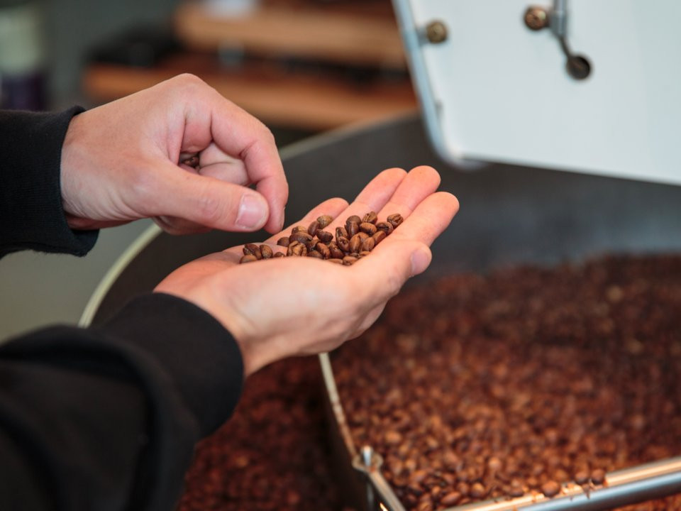 Acrylamide hình thành từ các thành phần được tạo ra một cách tự nhiên trong một số thực phẩm khi nấu ở nhiệt độ đủ cao, ≥ 1200C. Theo các nhà khoa học, acrylamide không có mặt trong bất kỳ thành phần nào của các loại thực phẩm trước khi chế biến và nó không phải là một chất gây hại cố tình được thêm vào trong các bước chuẩn bị trước chế biến.