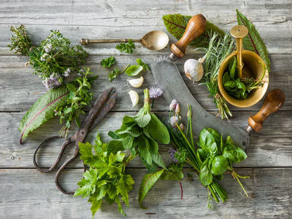 Thảo mộc như rau thơm và rau mùi chứa đầy vitamin A. Hãy cho chúng vào chế độ ăn uống để ngừa thiếu hụt vitamin A.