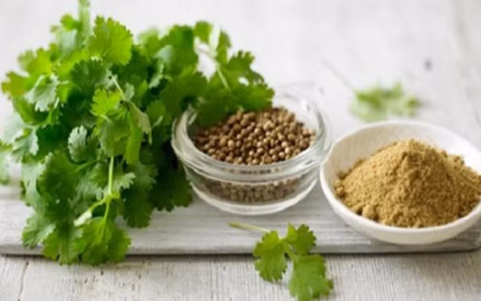 Ngừa sỏi thận: Rau mùi có tác dụng lợi tiểu và giải độc nên có tác dụng ngăn cản sỏi hình thành trong thận và giảm nhiễm trùng đường tiết niệu.