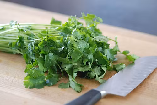 Tăng cường hệ thống miễn dịch: Vitamin A, C có trong rau mùi thúc đẩy và tăng cường hệ thống miễn dịch khỏe mạnh. Rau mùi cũng chứa nhiều chất diệp lục chống lại các bệnh nhiễm trùng do vi khuẩn và nấm gây ra.