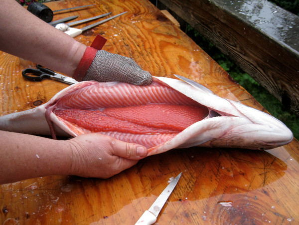 Cá hồi được mổ để tách trứng, sẵn sàng chế biến, phân loại và trộn các buồng trứng cá vào nhau.