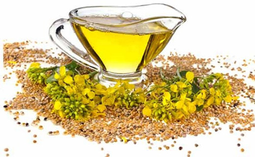 Dầu mù tạt cũng làm mềm da chân. Thoa dầu lên chân rồi mát xa nhẹ nhàng, mang tất khi ngủ là sáng hôm sau sẽ có đôi bàn chân mềm mại hơn.