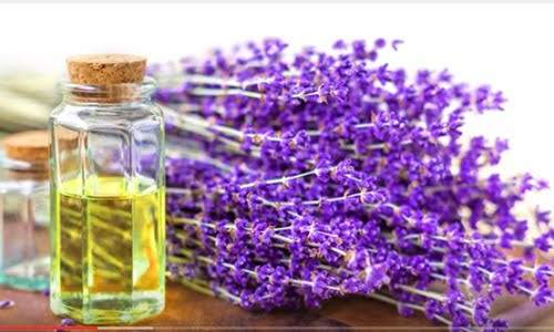 Tinh dầu oải hương: Trộn hai giọt tinh dầu oải hương, một thìa cà phê mật ong, một thìa cà phê muối biển, 1 thìa canh bột yến mạch và 1 thìa canh thịt lá nha đam. Sau đó đổ hỗn hợp này vào chậu nước ấm, khuấy đều, ngâm chân trong khoảng 30 phút.