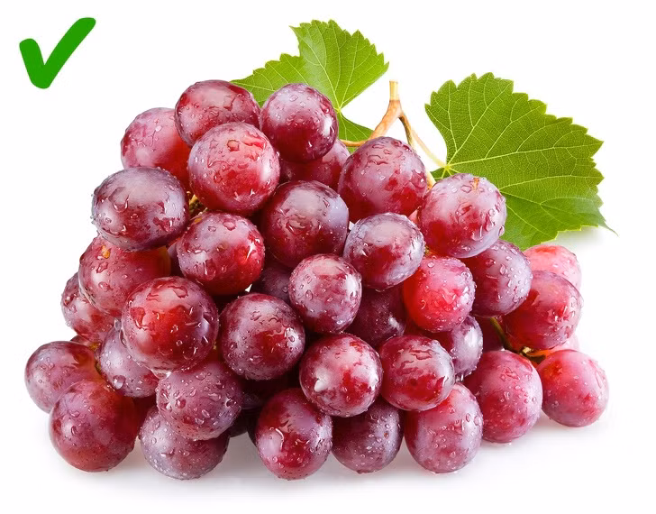 Nho đỏ chứa resveratrol, hợp chất chống oxy hóa mạnh mẽ, có thể bảo vệ các mô của tuyến tụy khỏi thiệt hại do gốc tự do và làm giảm nguy cơ viêm tụy hay ung thư tuyến tụy.