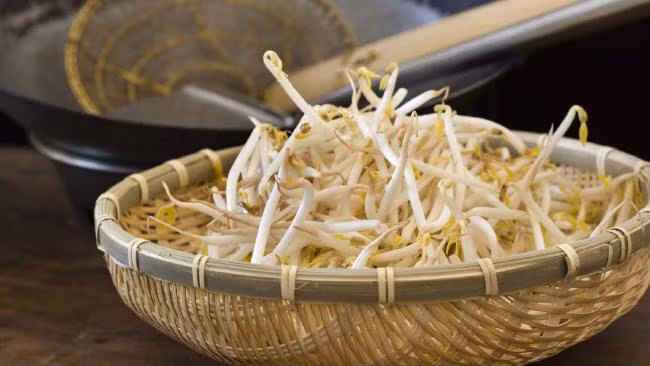 Dùng giá đỗ để làm đẹp là cách được nhiều chị em ưa chuộng.