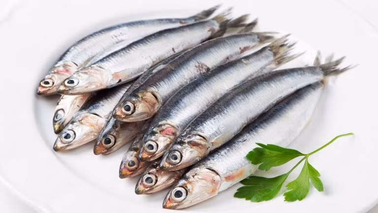 Cá mòi là loại cá có dầu nhỏ với hàm lượng axit béo omega-3 cao. Chúng giúp giảm huyết áp và ngăn ngừa sự trầm cảm.