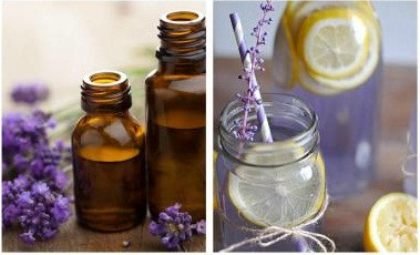 Bên cạnh đó, loài hoa này còn có thể dùng làm nước tắm và gội đầu, mang lại cho bạn mùi hương đặc biệt. Ở một số đảo, cư dân địa phương còn biến oải hương thành một chất phụ gia kết hợp với chanh để tạo nên thức uống giải khát tốt cho da.