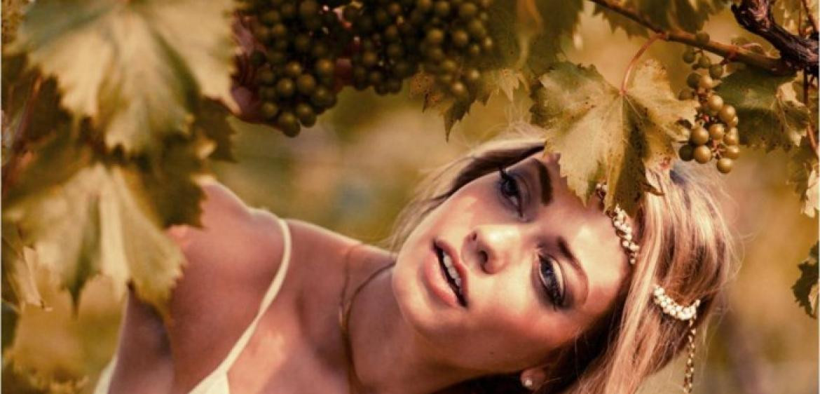 Những cánh đồng nho trĩu quả và thơm mọng mang đến cho Croatia loại rượu vang trứ danh. Trong đó, nổi bật hàng đầu phải kể đến vang Zlatan Plavac làm từ nho Plavac Mali.