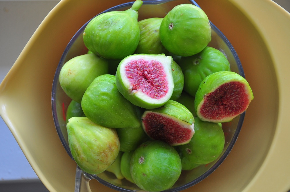 Quả sung giúp cải hiện hệ tiêu hóa và hoạt động như thuốc nhuận tràng tự nhiên nhờ hàm lượng chất xơ dồi dào. Thêm sung vào các bữa ăn hàng ngày của bạn là cách đơn giản nhất giúp điều trị táo bón. 