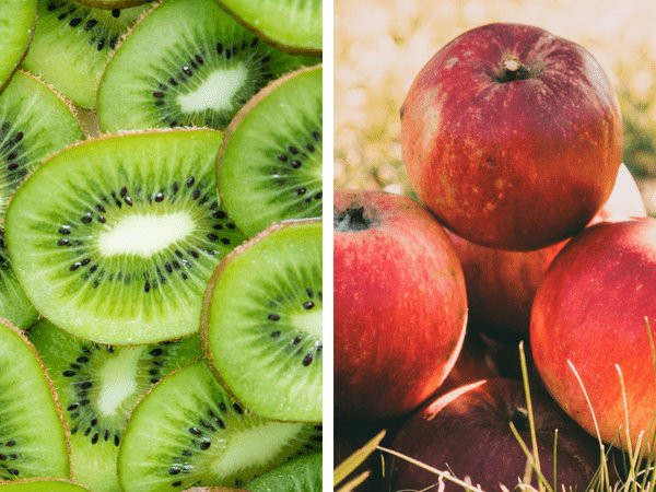 Kiwi có chứa một loại enzyme có tên là actinidain, enzyme này có nhiệm vụ cải thiện sức khỏe đường ruột. Hàm lượng chất xơ và nước dồi dào trong kiwi biến nó trở thành một loại quả giảm táo bón hiệu quả.