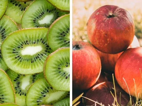 Kiwi có chứa một loại enzyme có tên là actinidain, enzyme này có nhiệm vụ cải thiện sức khỏe đường ruột. Hàm lượng chất xơ và nước dồi dào trong kiwi biến nó trở thành một loại quả giảm táo bón hiệu quả.