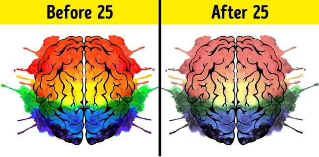 Sự lão hóa của não bắt đầu ở tuổi 25: Các nhà khoa học từ Đại học Y khoa Gdansk (Ba Lan) và Đại học Lancaster (Anh) tuyên bố não của con người bắt đầu lão hóa từ 25 tuổi, không phải là 40 tuổi như mọi người vẫn nghĩ.