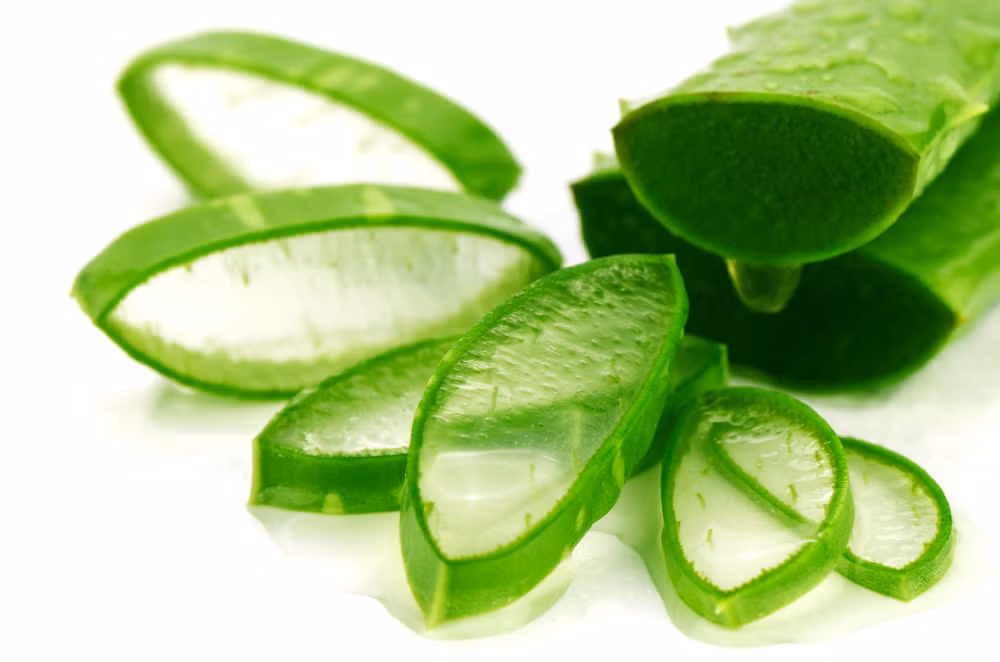 Lấy một ít nha đam đã tách vỏ để vào tủ đông, sau đó đặt chúng lên vùng da bị cháy nắng. Ảnh: BS, Internet.