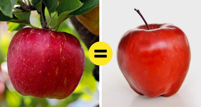 Mọi người vẫn tin rằng thực phẩm hữu cơ không chứa thuốc trừ sâu và bổ dưỡng. Tuy nhiên, đây là quan niệm sai về thực phẩm hàng ngày vì nông dân được phép sử dụng thuốc trừ sâu hữu cơ đối với sản phẩm hữu cơ.