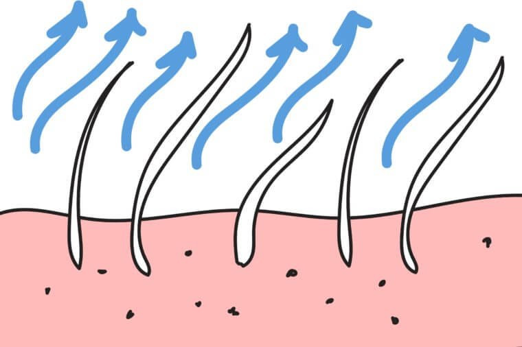 Bạn có khoảng 100.000 -150.000 sợi tóc trên đầu và mỗi sợi tóc mọc dài khoảng hơn 1cm/tháng.