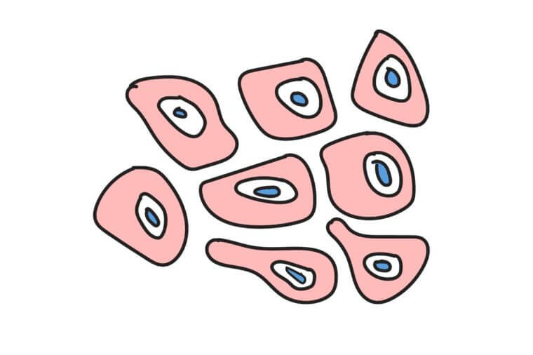 Cơ thể “thải ra” 30.000 đến 50.000 tế bào da mỗi phút, đồng nghĩa bạn sẽ loại bỏ đi khoảng 47 kg tế bào chết vào cuối đời. Ảnh: RD.