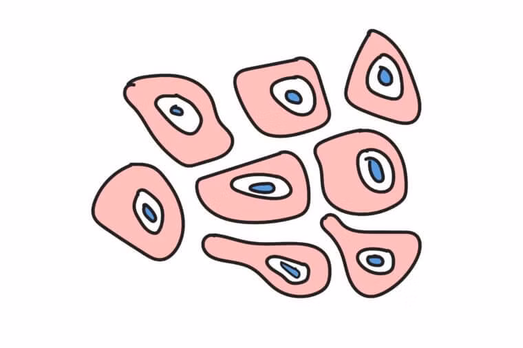 Cơ thể “thải ra” 30.000 đến 50.000 tế bào da mỗi phút, đồng nghĩa bạn sẽ loại bỏ đi khoảng 47 kg tế bào chết vào cuối đời. Ảnh: RD.