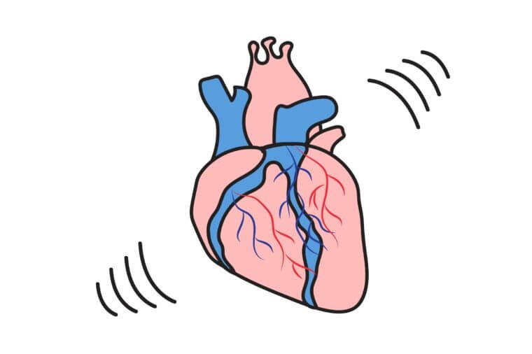 Theo Mayo Clinic, tim hoạt động liên tục với nhịp độ dao động 60 - 100 lần/phút.