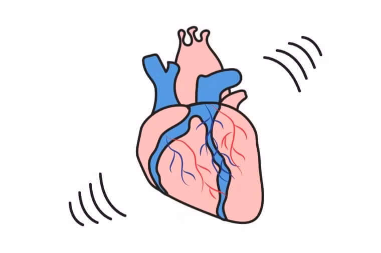 Theo Mayo Clinic, tim hoạt động liên tục với nhịp độ dao động 60 - 100 lần/phút.