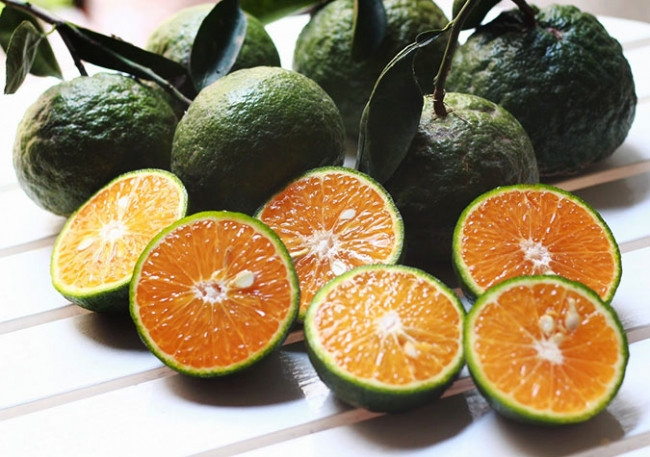 Ngoài ra, vitamin C trong cam giúp cho xương cứng chắc, chống đau họng, giảm nguy cơ mắc bệnh hen suyễn, ngăn chặn bệnh đục nhân mắt...Ảnh: Internet.